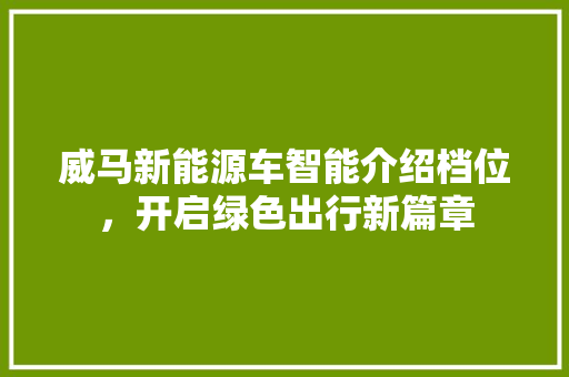 威马新能源车智能介绍档位，开启绿色出行新篇章