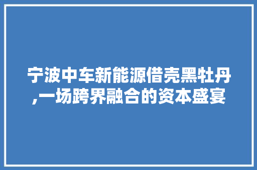 宁波中车新能源借壳黑牡丹,一场跨界融合的资本盛宴