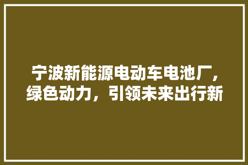 宁波新能源电动车电池厂,绿色动力，引领未来出行新潮流