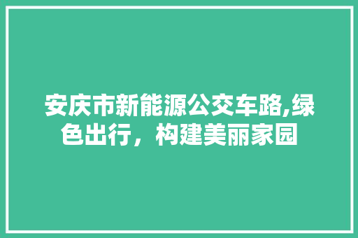 安庆市新能源公交车路,绿色出行，构建美丽家园