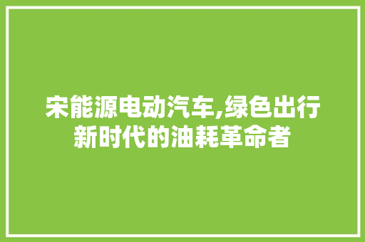 宋能源电动汽车,绿色出行新时代的油耗革命者