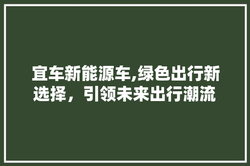 宜车新能源车,绿色出行新选择，引领未来出行潮流