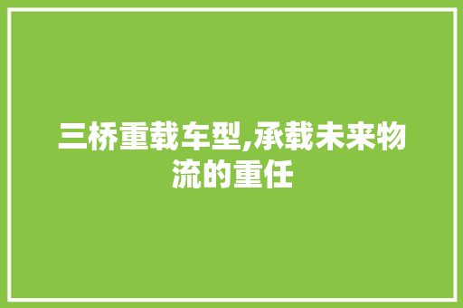 三桥重载车型,承载未来物流的重任
