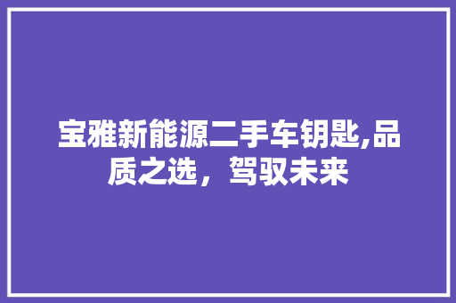 宝雅新能源二手车钥匙,品质之选，驾驭未来