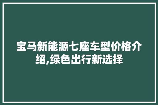 宝马新能源七座车型价格介绍,绿色出行新选择