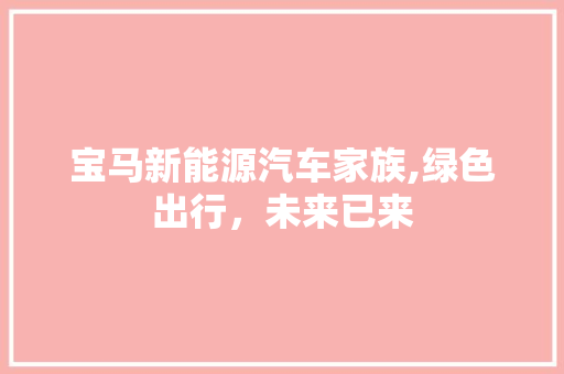 宝马新能源汽车家族,绿色出行，未来已来