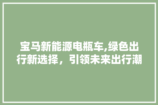 宝马新能源电瓶车,绿色出行新选择，引领未来出行潮流