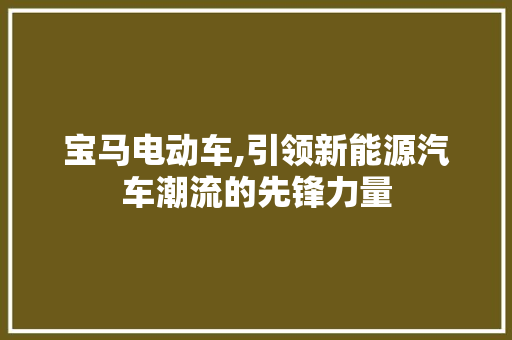宝马电动车,引领新能源汽车潮流的先锋力量