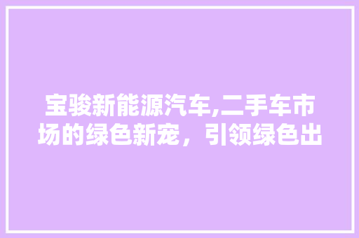 宝骏新能源汽车,二手车市场的绿色新宠，引领绿色出行新风尚