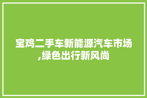 宝鸡二手车新能源汽车市场,绿色出行新风尚