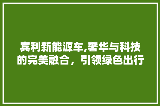 宾利新能源车,奢华与科技的完美融合，引领绿色出行新时代