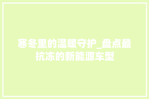 寒冬里的温暖守护_盘点最抗冻的新能源车型