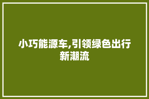 小巧能源车,引领绿色出行新潮流