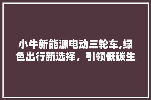 小牛新能源电动三轮车,绿色出行新选择，引领低碳生活潮流