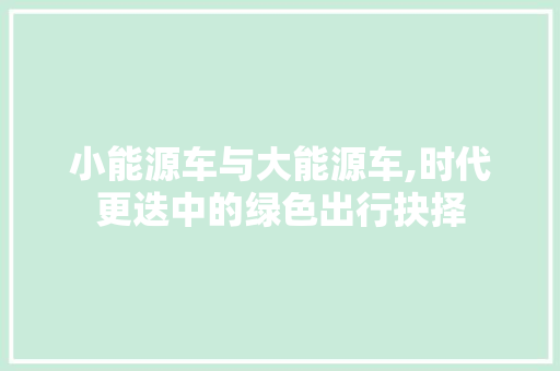 小能源车与大能源车,时代更迭中的绿色出行抉择