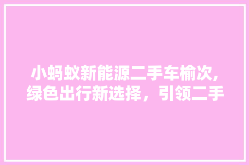 小蚂蚁新能源二手车榆次,绿色出行新选择，引领二手车市场新潮流