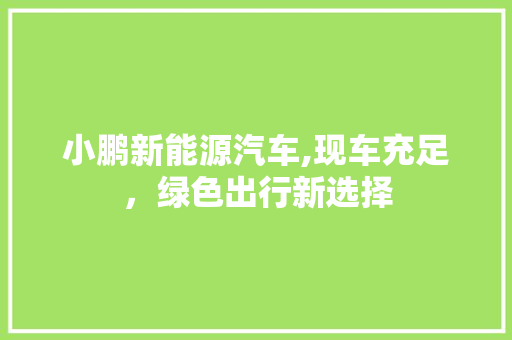 小鹏新能源汽车,现车充足，绿色出行新选择