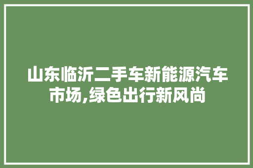 山东临沂二手车新能源汽车市场,绿色出行新风尚