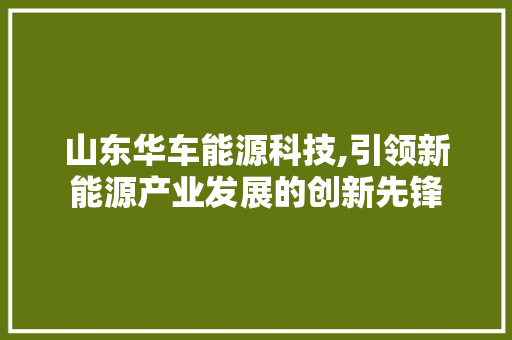 山东华车能源科技,引领新能源产业发展的创新先锋