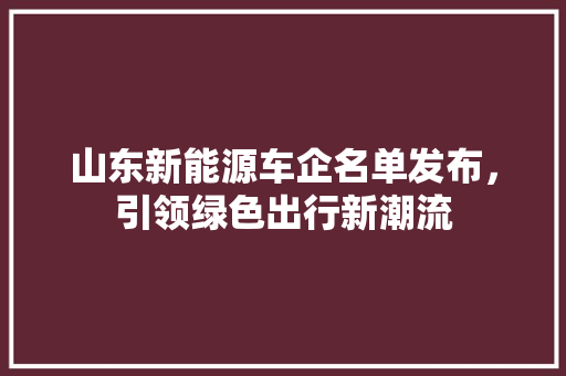 山东新能源车企名单发布，引领绿色出行新潮流