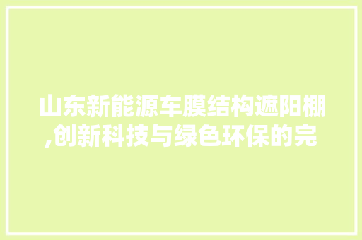 山东新能源车膜结构遮阳棚,创新科技与绿色环保的完美融合