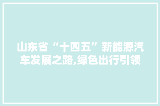 山东省“十四五”新能源汽车发展之路,绿色出行引领未来