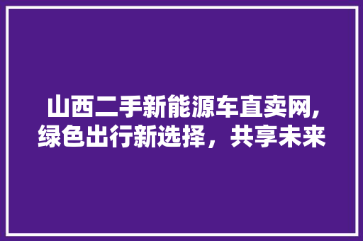 山西二手新能源车直卖网,绿色出行新选择，共享未来出行时代