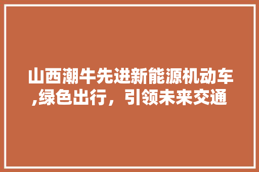 山西潮牛先进新能源机动车,绿色出行，引领未来交通潮流