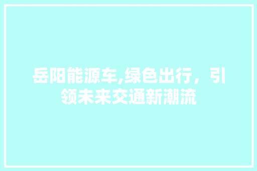 岳阳能源车,绿色出行，引领未来交通新潮流