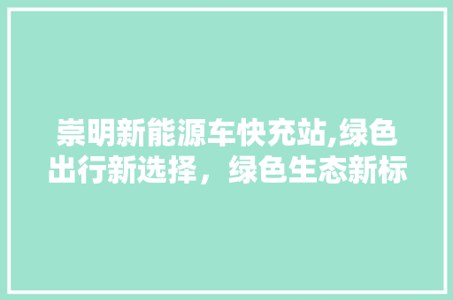 崇明新能源车快充站,绿色出行新选择，绿色生态新标杆