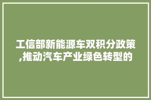 工信部新能源车双积分政策,推动汽车产业绿色转型的新引擎
