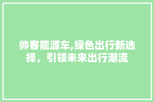 帅客能源车,绿色出行新选择，引领未来出行潮流