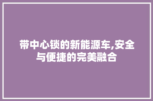 带中心锁的新能源车,安全与便捷的完美融合