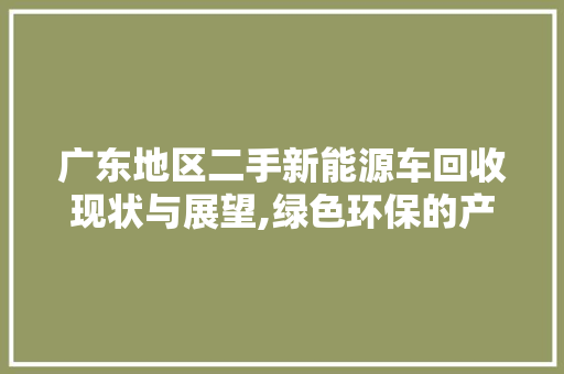 广东地区二手新能源车回收现状与展望,绿色环保的产业新风口