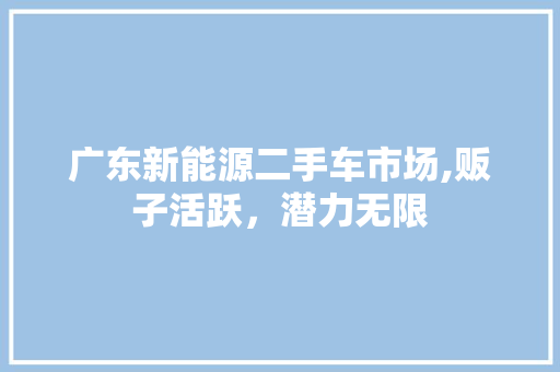 广东新能源二手车市场,贩子活跃，潜力无限