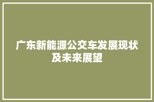 广东新能源公交车发展现状及未来展望