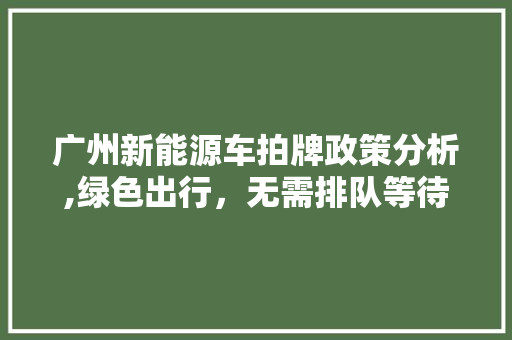 广州新能源车拍牌政策分析,绿色出行，无需排队等待