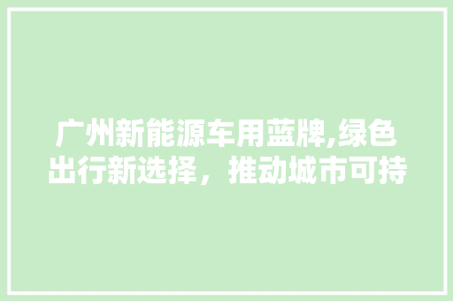 广州新能源车用蓝牌,绿色出行新选择，推动城市可持续发展