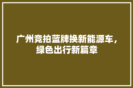 广州竞拍蓝牌换新能源车，绿色出行新篇章 新款车型