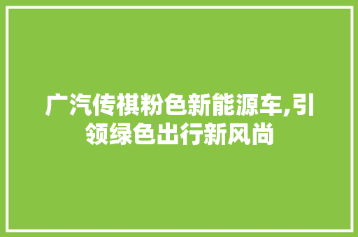广汽传祺粉色新能源车,引领绿色出行新风尚 蓄电池配件