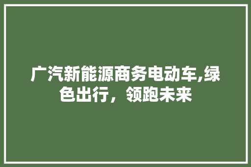 广汽新能源商务电动车,绿色出行，领跑未来