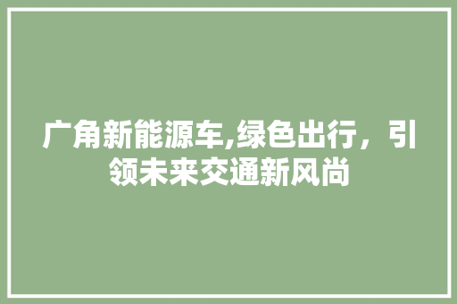 广角新能源车,绿色出行，引领未来交通新风尚
