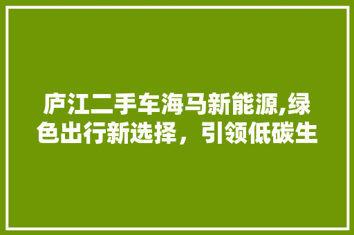 庐江二手车海马新能源,绿色出行新选择，引领低碳生活潮流