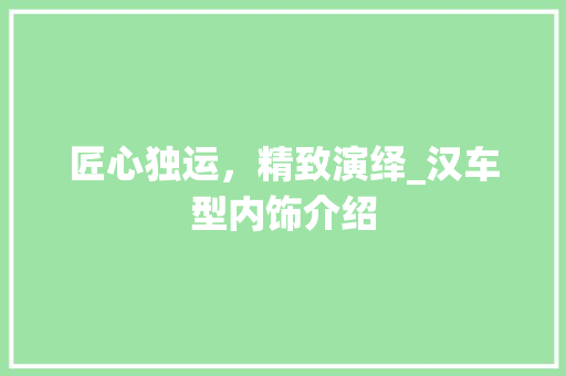 匠心独运，精致演绎_汉车型内饰介绍