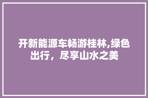 开新能源车畅游桂林,绿色出行，尽享山水之美