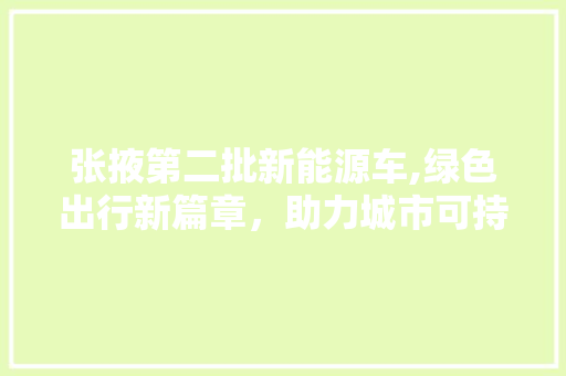 张掖第二批新能源车,绿色出行新篇章，助力城市可持续发展