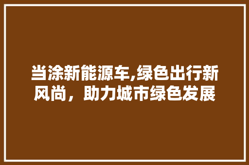 当涂新能源车,绿色出行新风尚，助力城市绿色发展