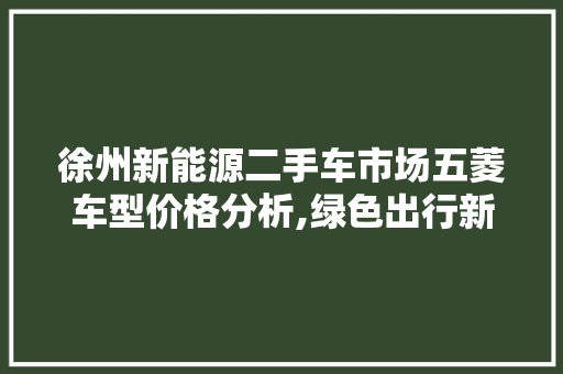 徐州新能源二手车市场五菱车型价格分析,绿色出行新选择