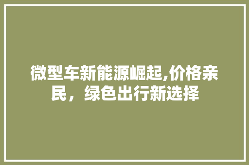 微型车新能源崛起,价格亲民，绿色出行新选择