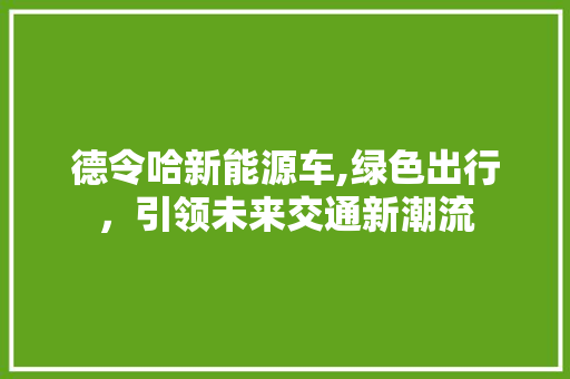 德令哈新能源车,绿色出行，引领未来交通新潮流